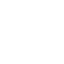 Automatisch